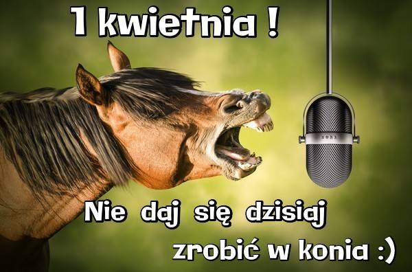 Koń śpiewający do mikrofonu Prima Aprilis